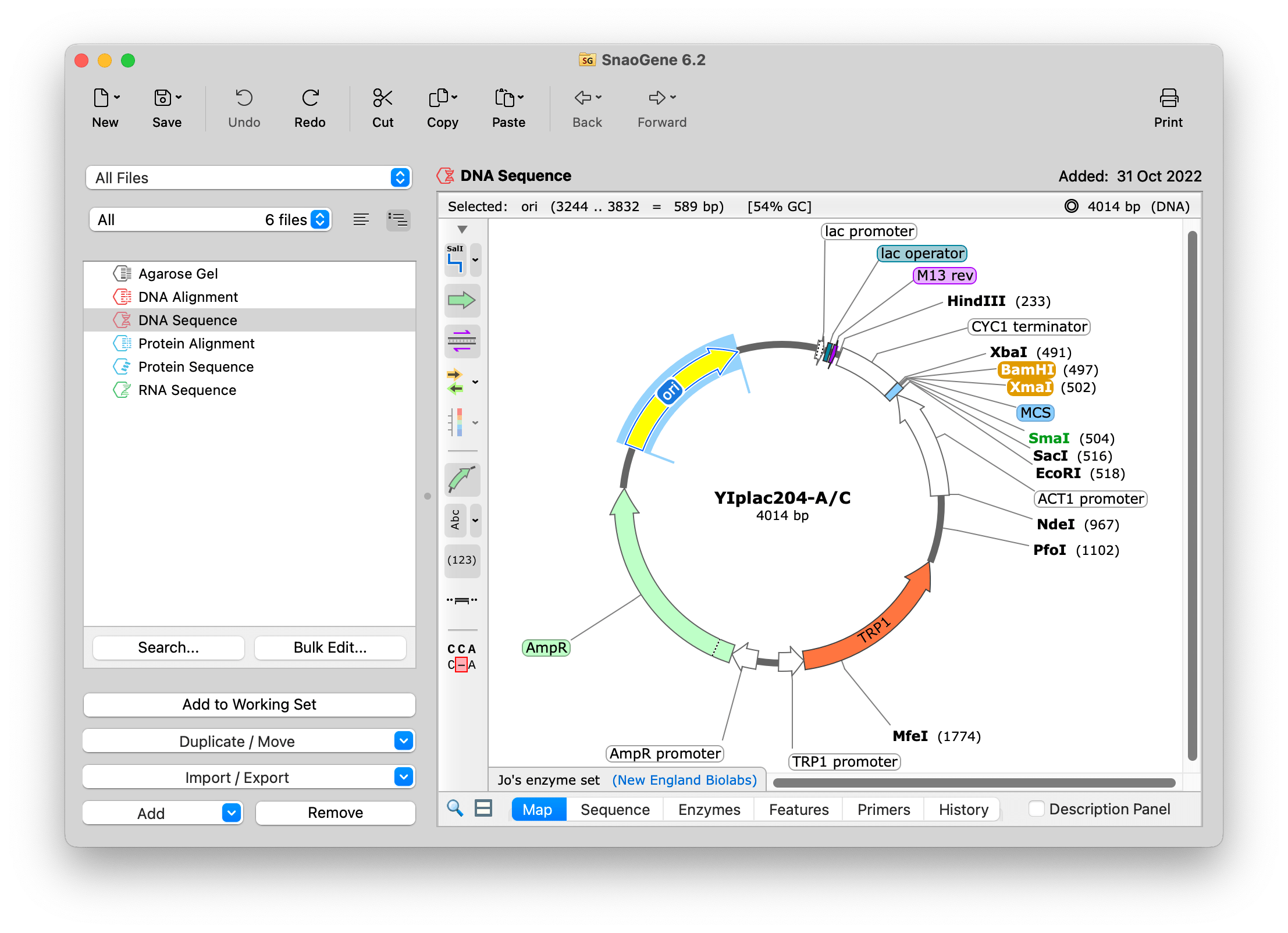 SnapGene What's New in SnapGene